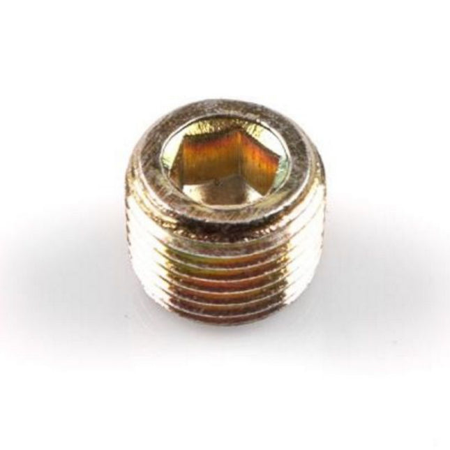 CYLINDER HEAD WATER BLANKING PLUG