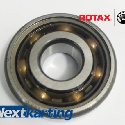 MAIN BALANCE SHAFT BEARING 6206 C4