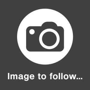 LN LANDO TONY KART RACER MY26 2026 401 T ROLLING CHASSIS USED DY41730