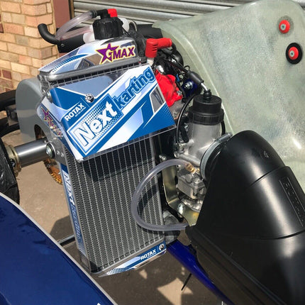 TONY KART LN LANDO ROTAX EVO KART COMPLETE USED CHASSIS + NEW ENGINE