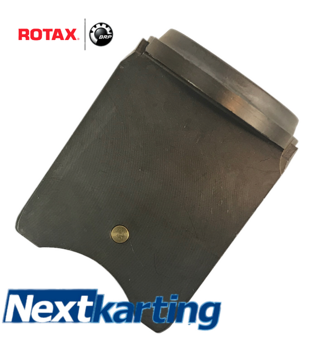 ROTAX MAX EVO CARB DELL'ORTO SLIDE 45