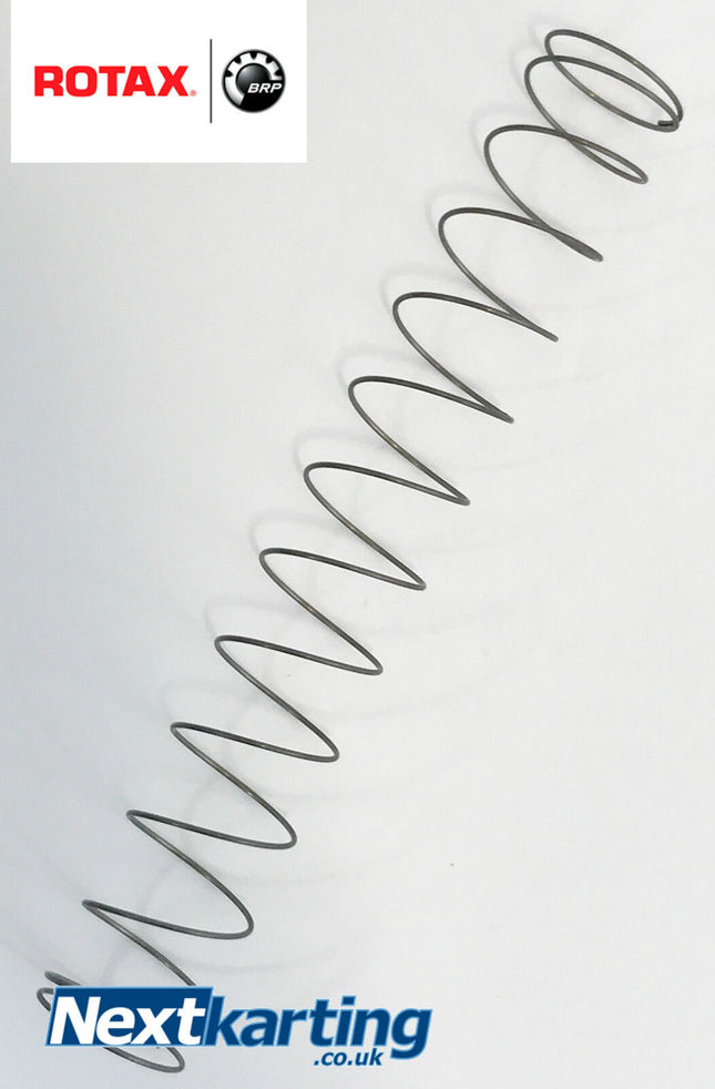 ROTAX MAX EVO CARB DELL'ORTO SLIDE SPRING