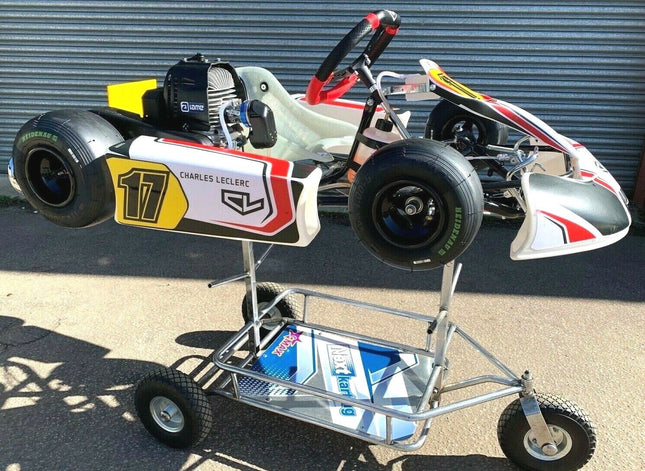 BRAND NEW CHARLES LE CLERC / BIREL R25 BAMBINO KART - IAME M1 60cc